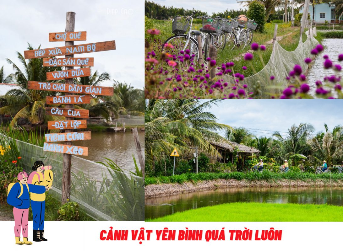 Nhu Y Travel