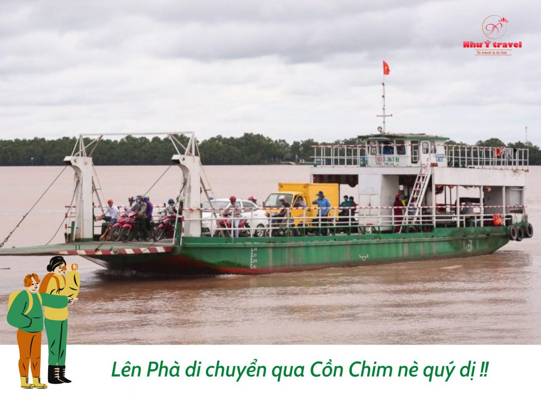 Nhu Y Travel