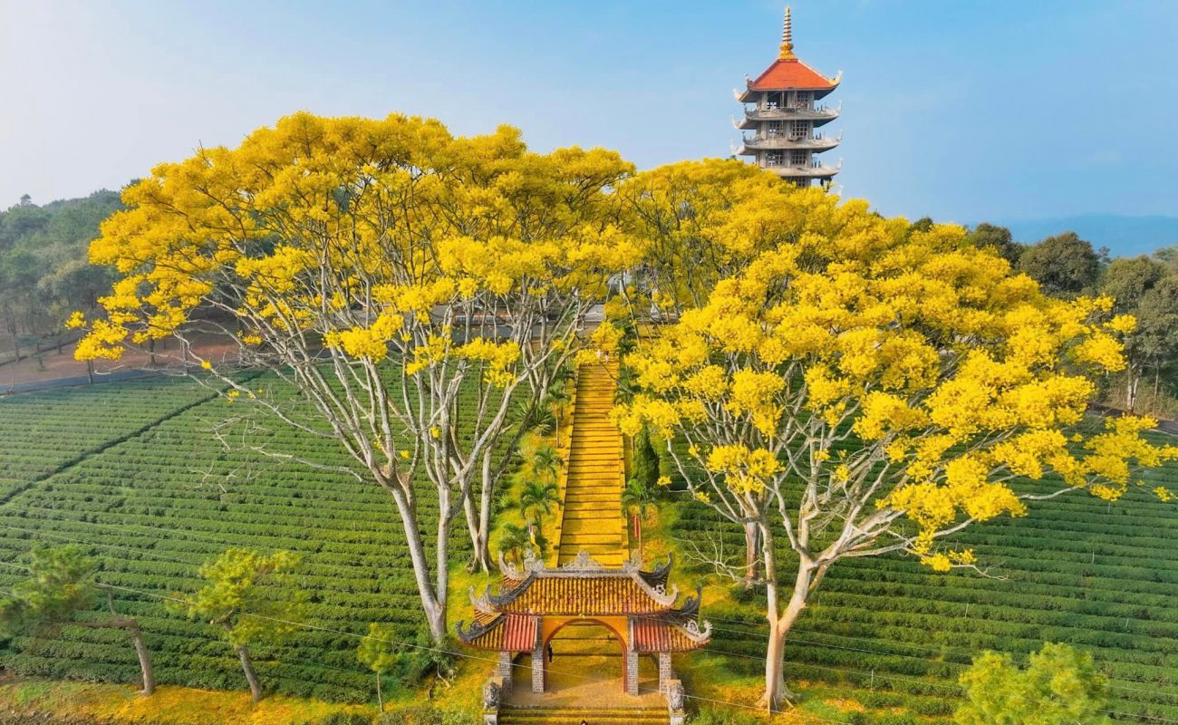 Nhu Y Travel