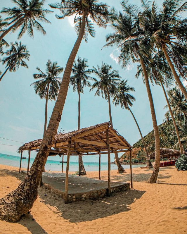 Nhu Y Travel