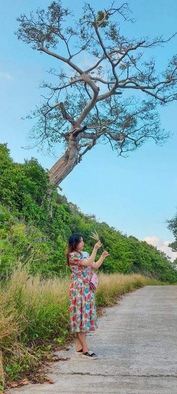 Nhu Y Travel