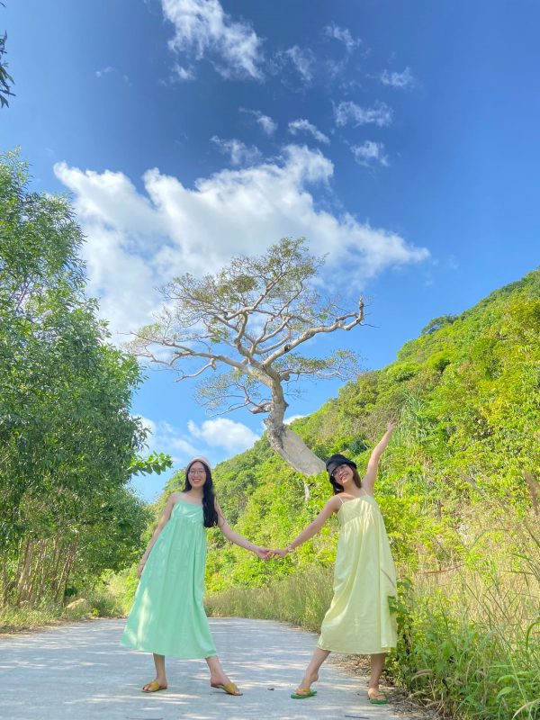Nhu Y Travel