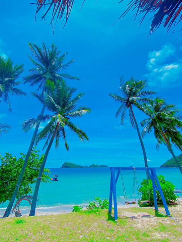Nhu Y Travel