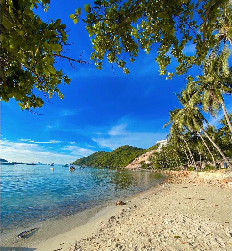 Nhu Y Travel