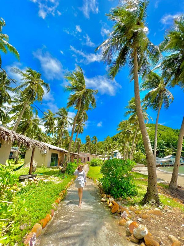 Nhu Y Travel