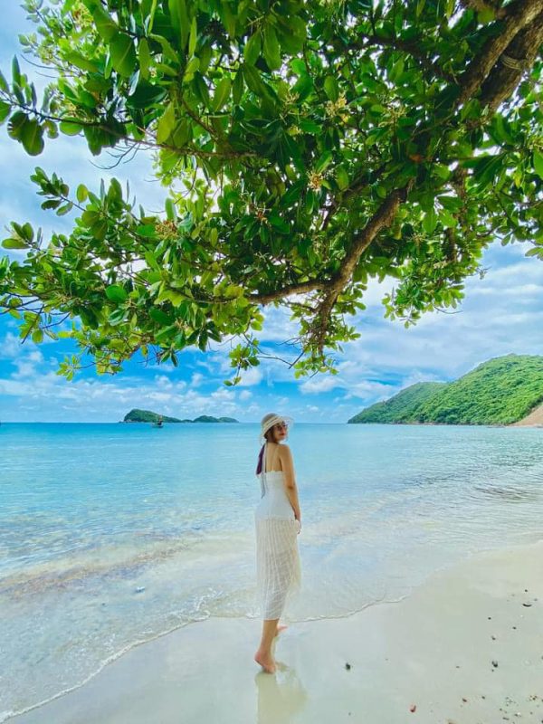 Nhu Y Travel