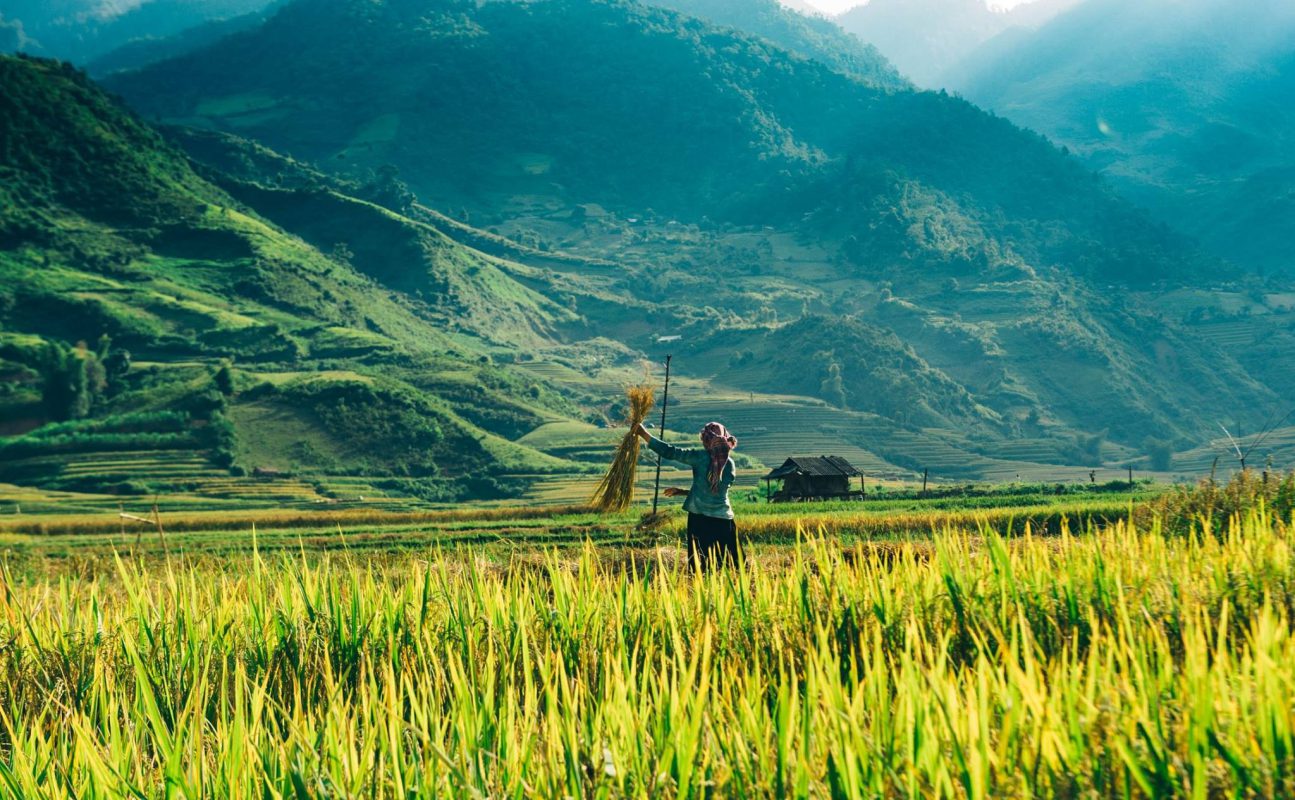 Nhu Y Travel