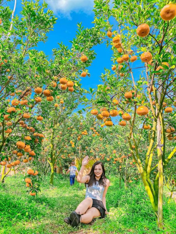 Nhu Y Travel