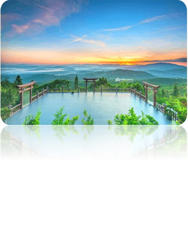 Nhu Y Travel