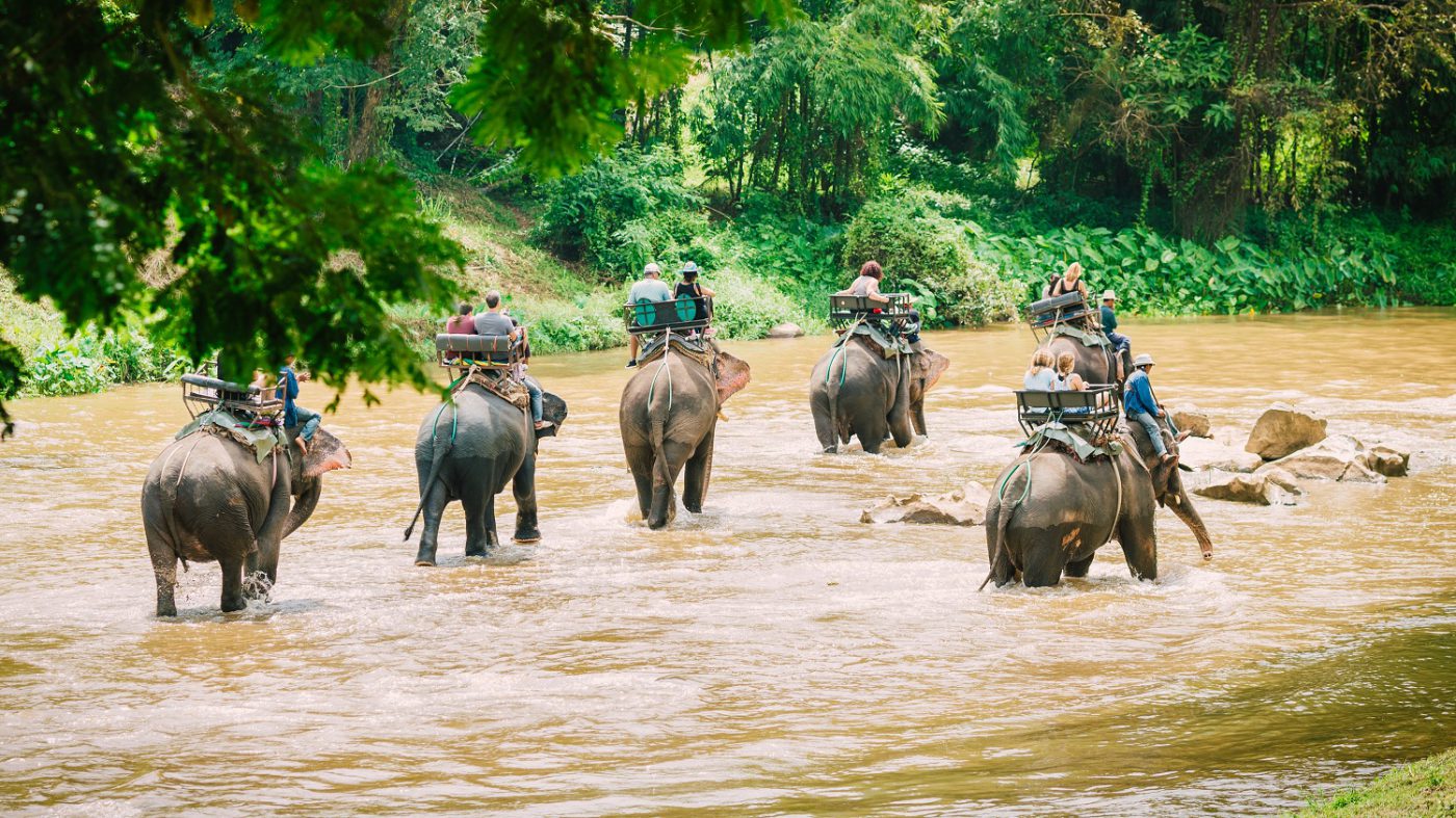 Nhu Y Travel