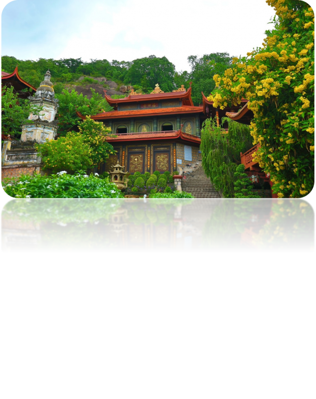Nhu Y Travel