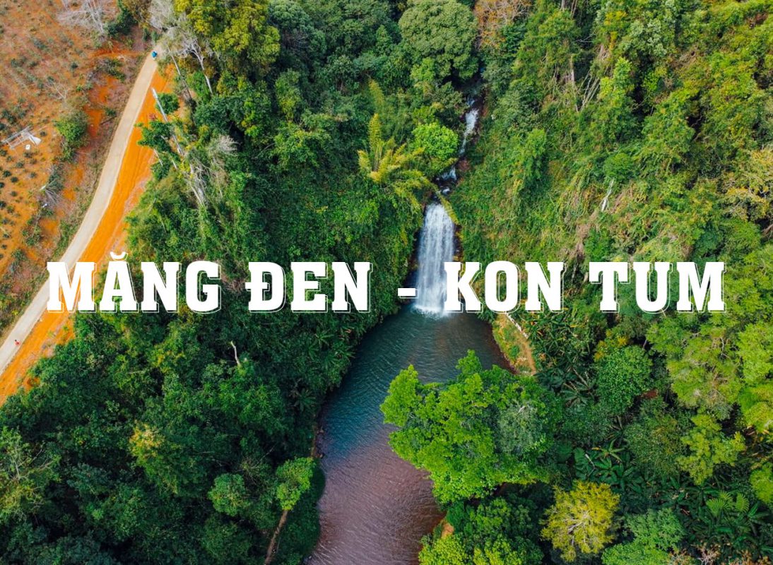 Nhu Y Travel