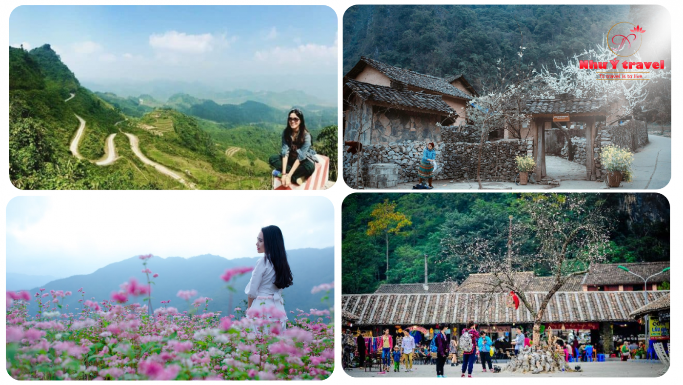 Nhu Y Travel