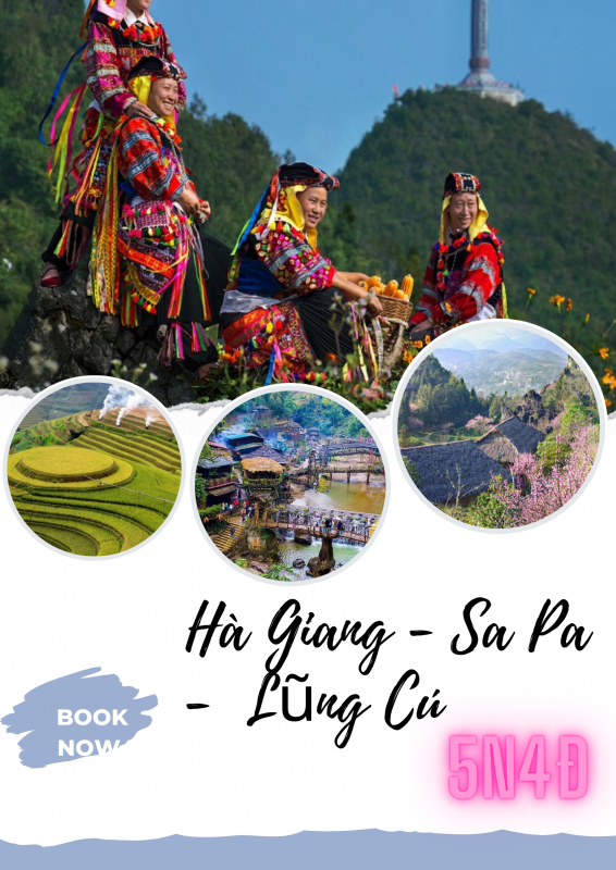 Nhu Y Travel