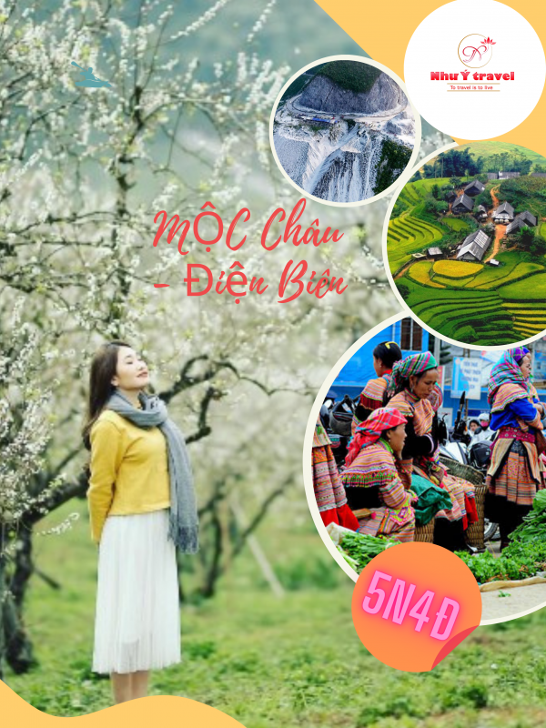 Nhu Y Travel