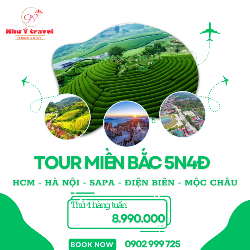 Nhu Y Travel