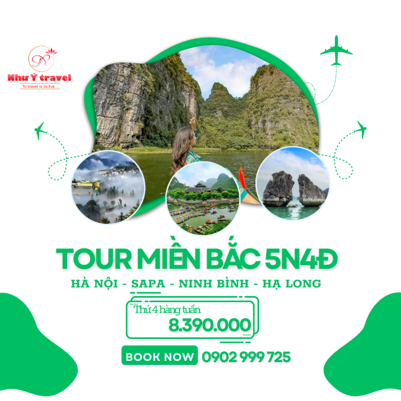 Nhu Y Travel