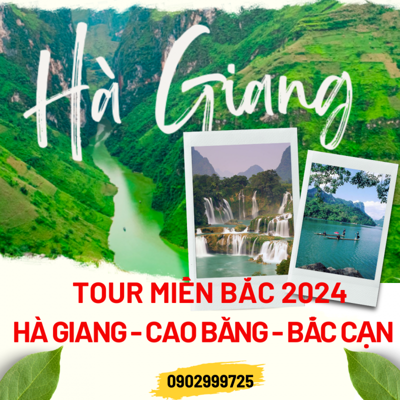 Nhu Y Travel