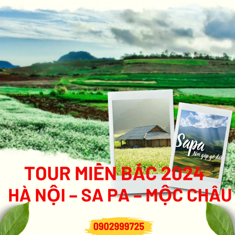 Nhu Y Travel
