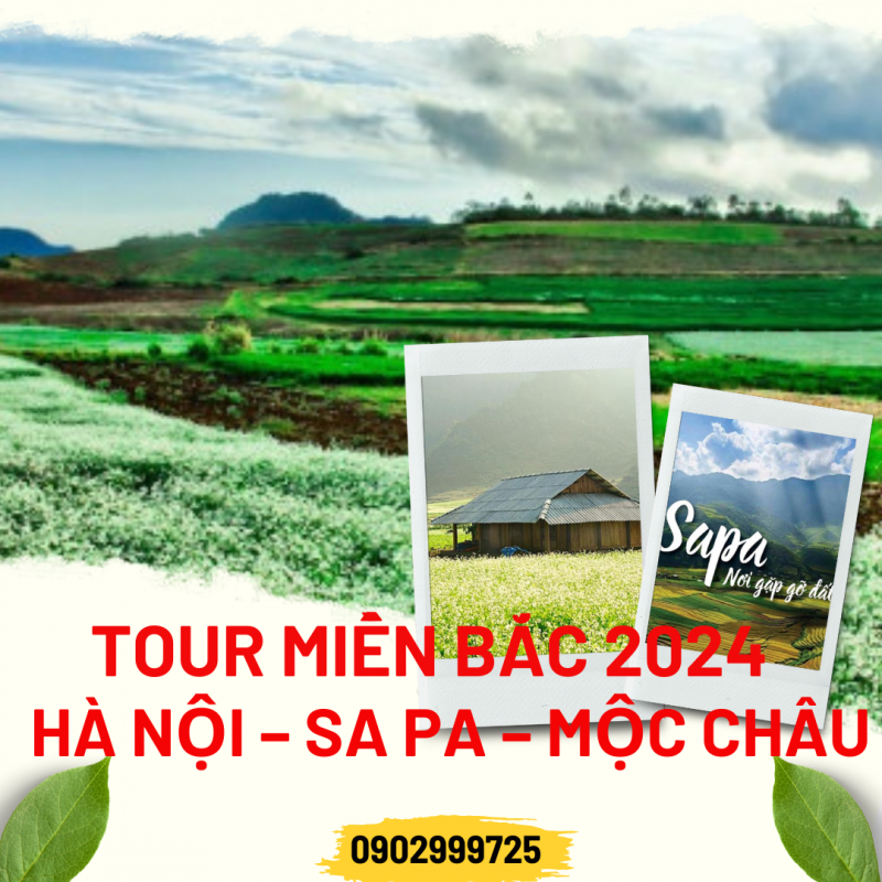 Nhu Y Travel