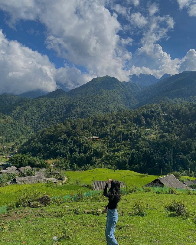 Nhu Y Travel