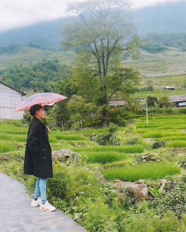 Nhu Y Travel