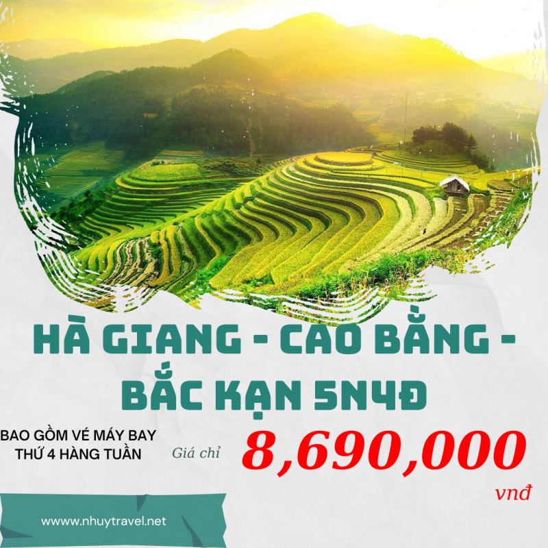 Nhu Y Travel