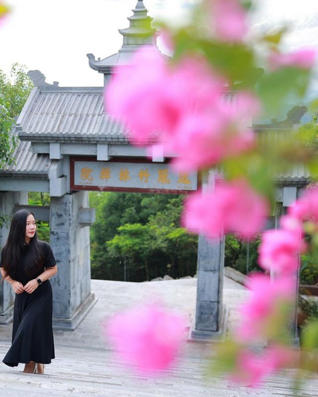 Nhu Y Travel
