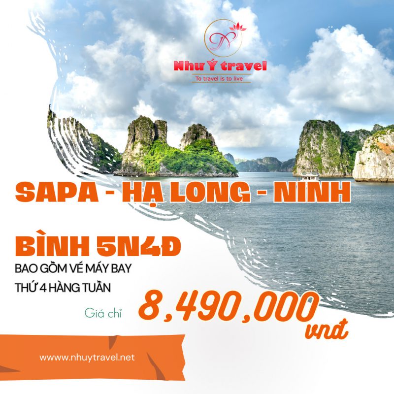Nhu Y Travel