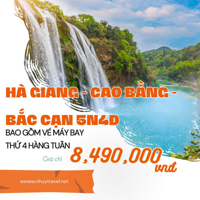 Nhu Y Travel