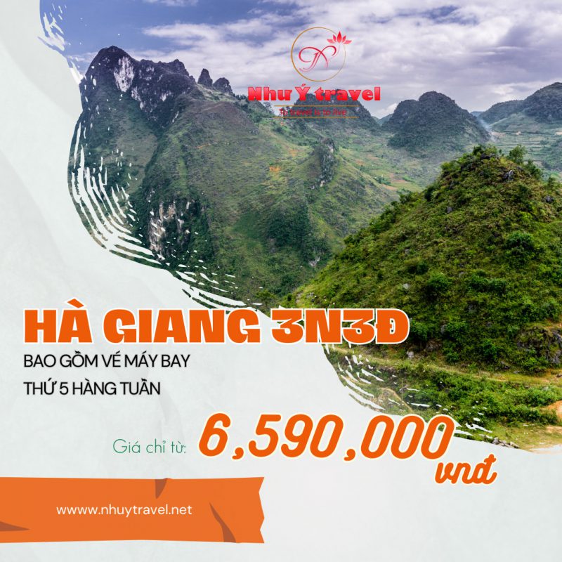 Nhu Y Travel