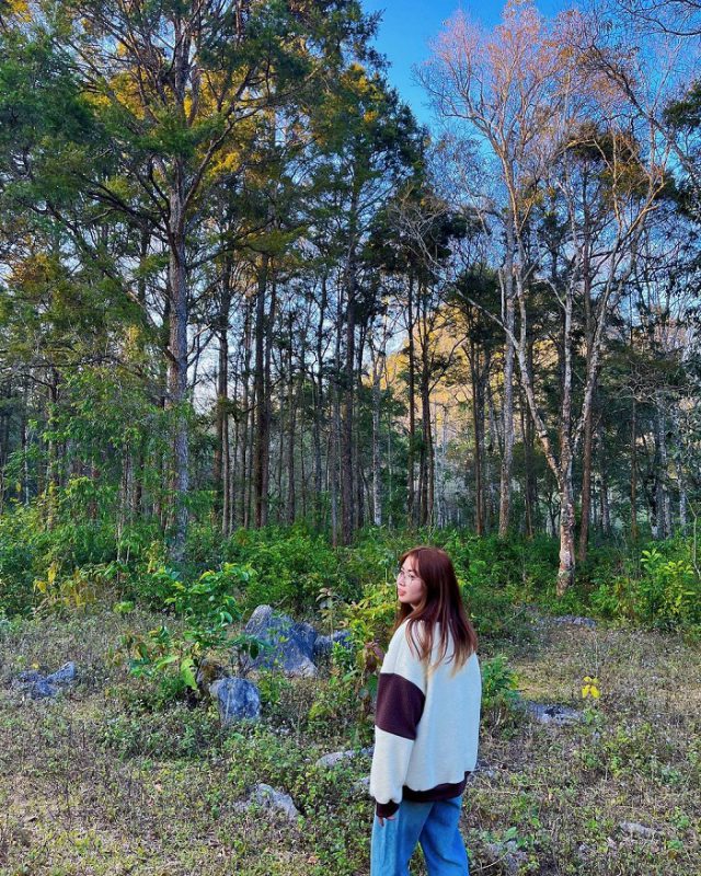 Nhu Y Travel