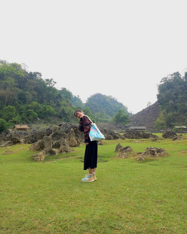 Nhu Y Travel