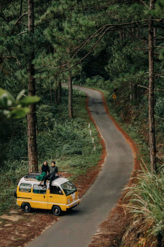 Nhu Y Travel
