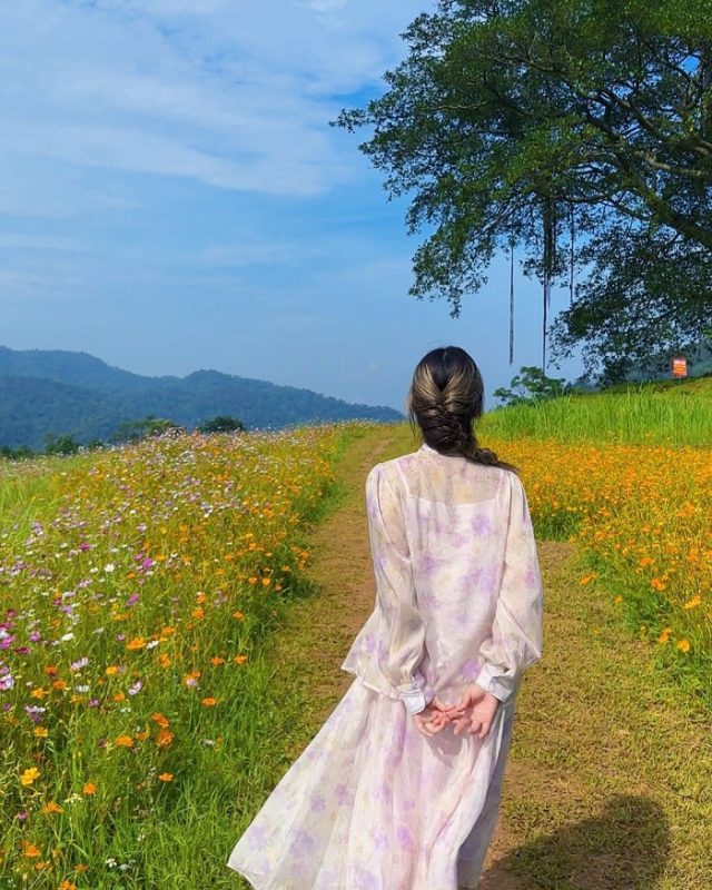 Nhu Y Travel