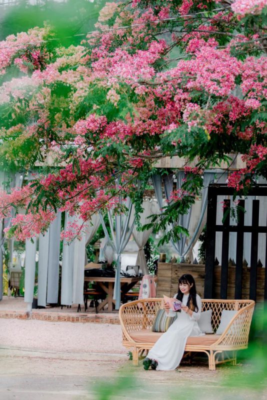 Nhu Y Travel