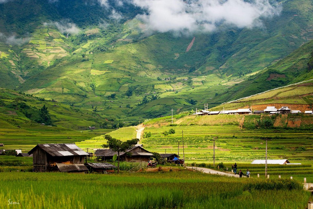 Nhu Y Travel