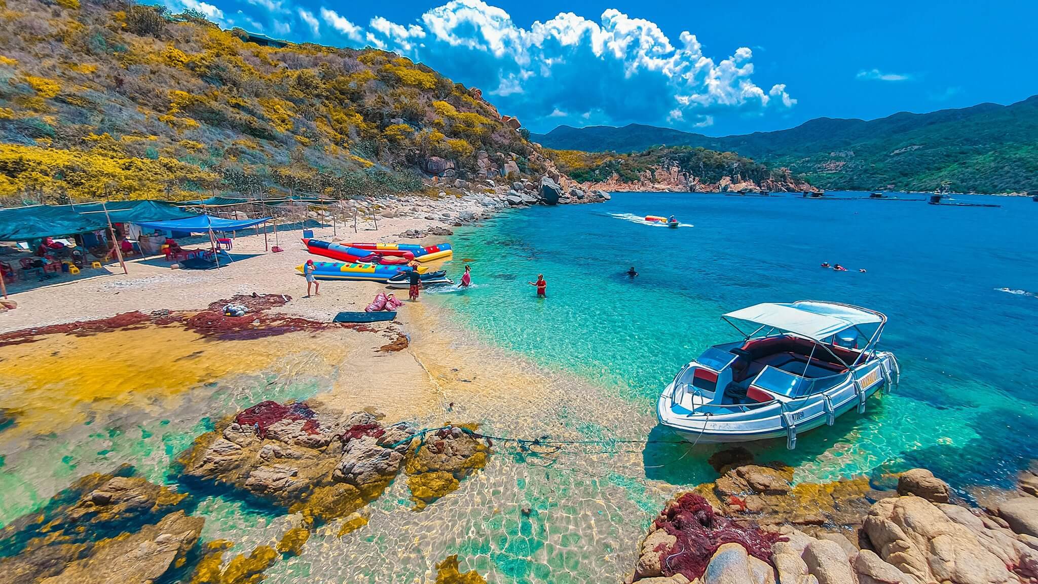 Vịnh Vĩnh Hy có gì mà khiến khách du lịch mê đắm? - Nhu Y Travel