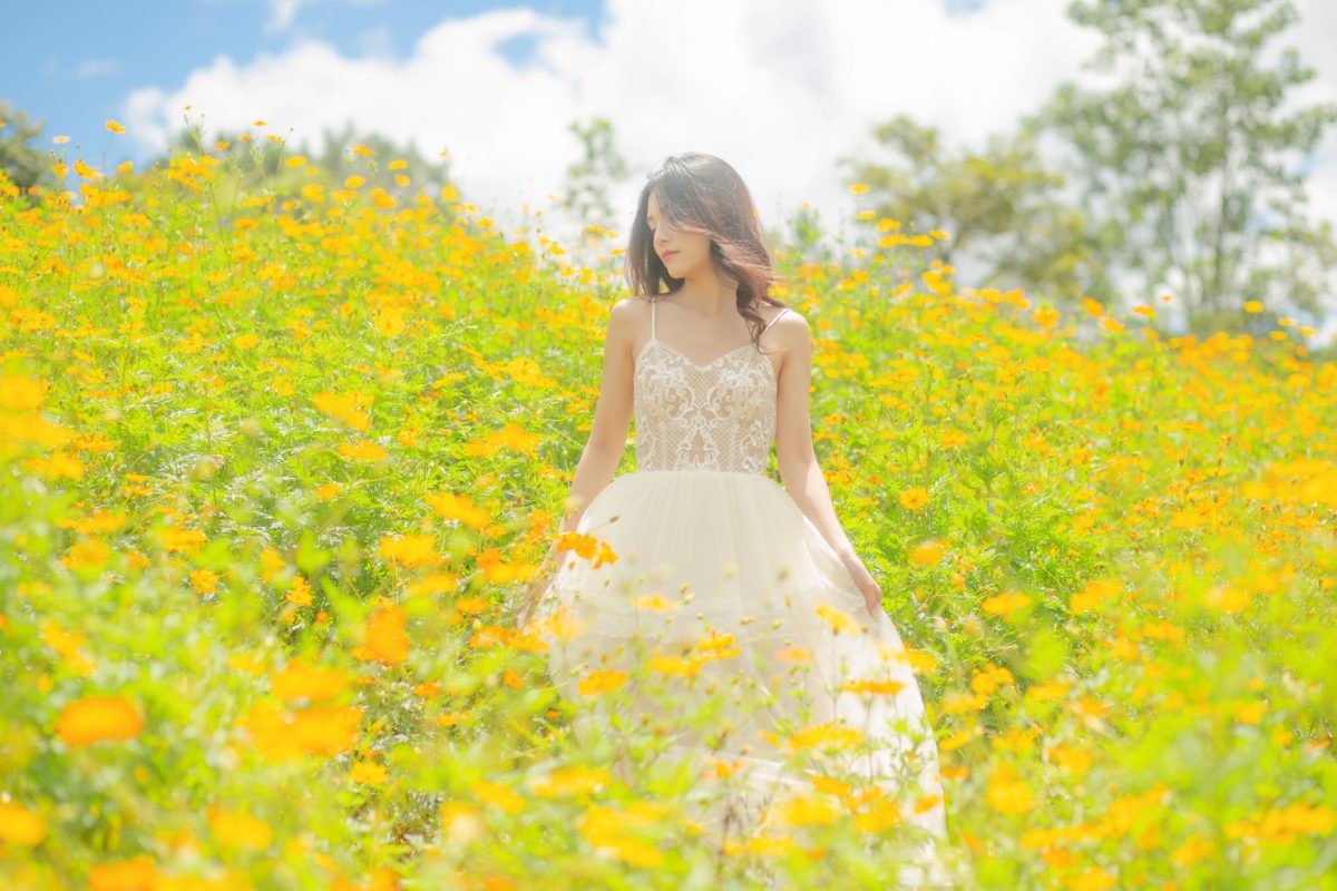 Nhu Y Travel