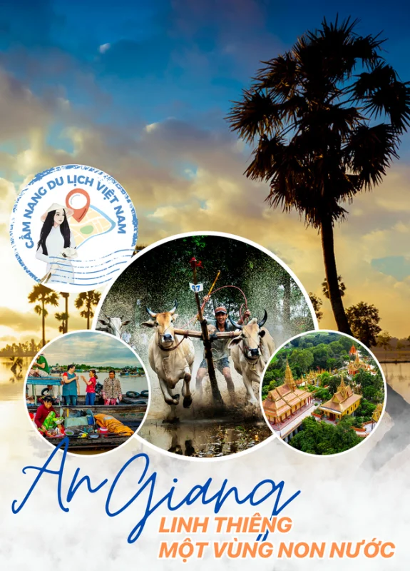 Nhu Y Travel