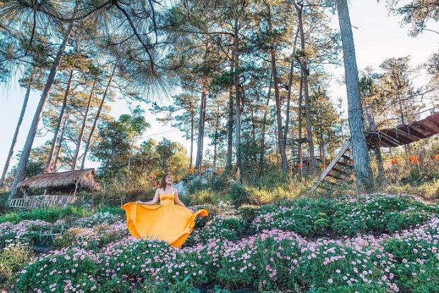 TOUR ĐÀ LẠT – SĂN MÂY – HAPPY HILL – LANGBIANG LAND – THIỀN VIỆN TRÚC LÂM – GIAO LƯU VĂN HÓA CỒNG CHIÊN – LỜI CỦA GIÓ – MS 02 - 3N3Đ