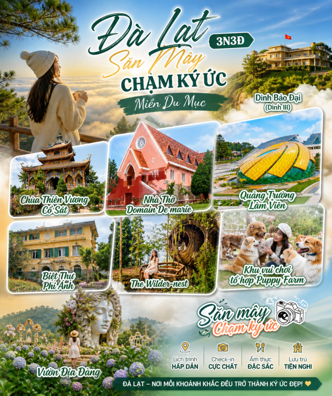 Nhu Y Travel