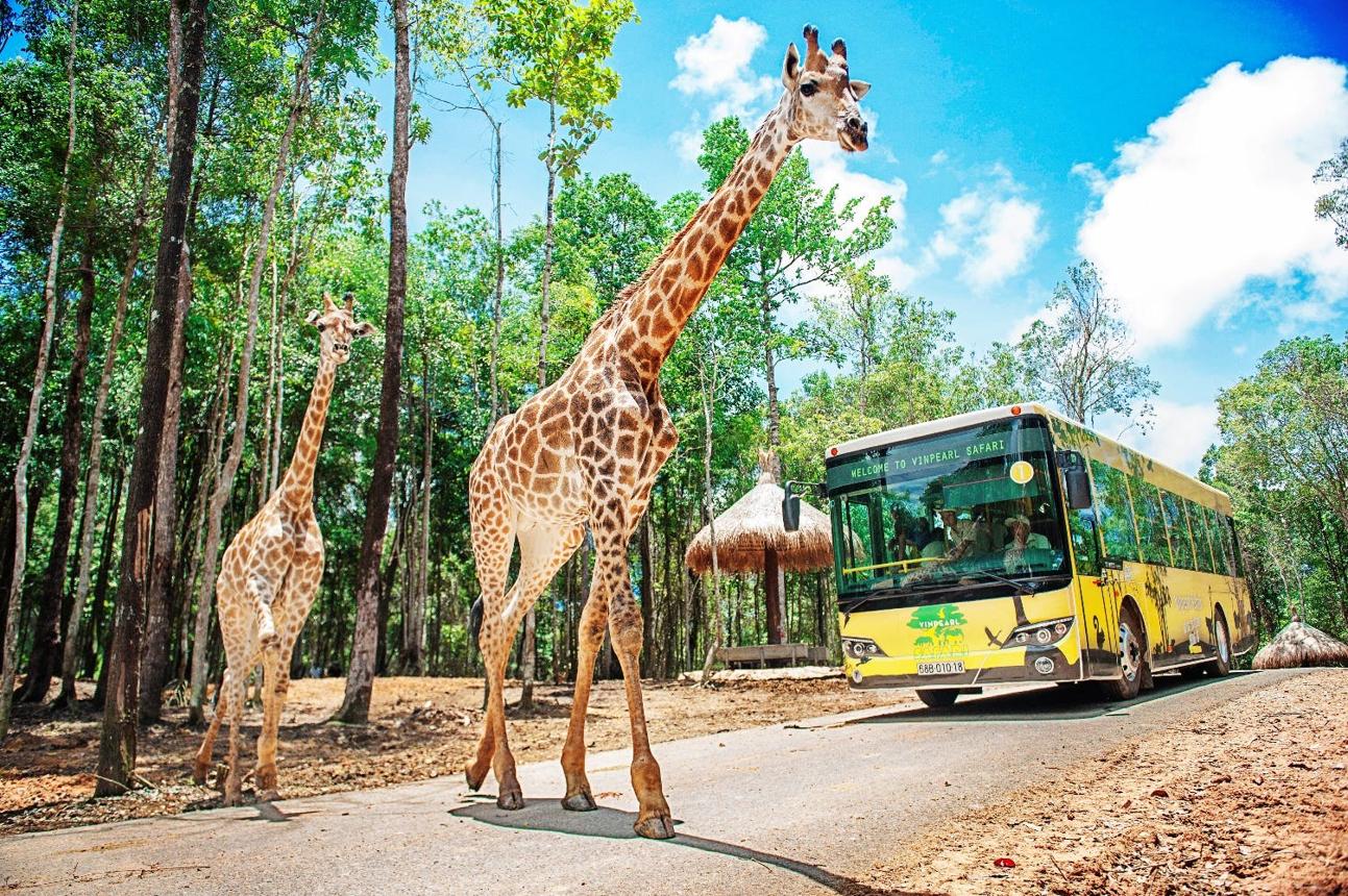 What The Phu Quoc?! Here’s The Ultimate Island You Never Knew About